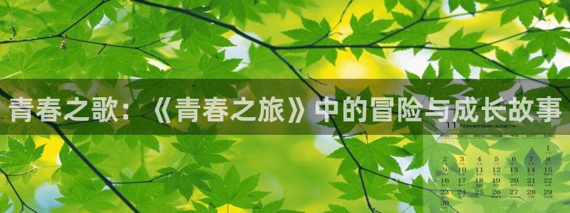 虫虫漫画网站免费n ba