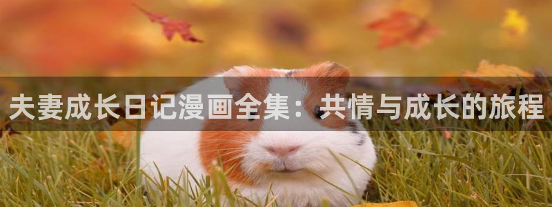 虫虫漫画破解版大全