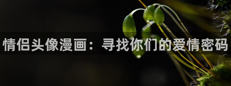 虫虫漫画在线阅读页面免费漫画